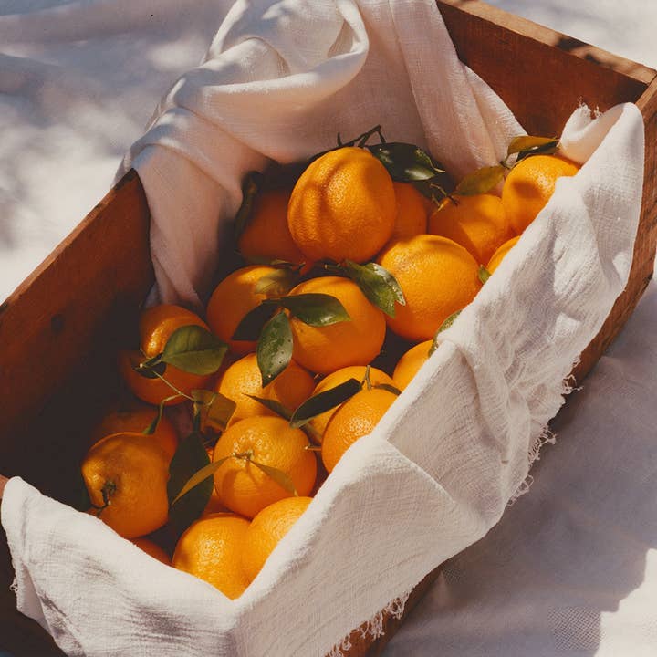 Marmalade Grove - Wholesale Jam/Jelly - Ruby Valencia & Apricot Fruit Spread