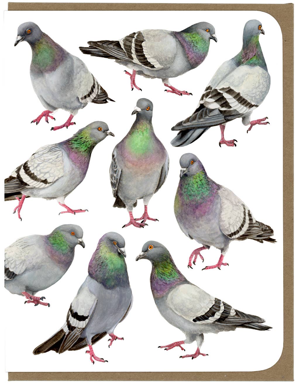 Amy Rose Moore Illustration - Wholesale Everyday Greeting Card - Pigeons All Over - Blank Card 2