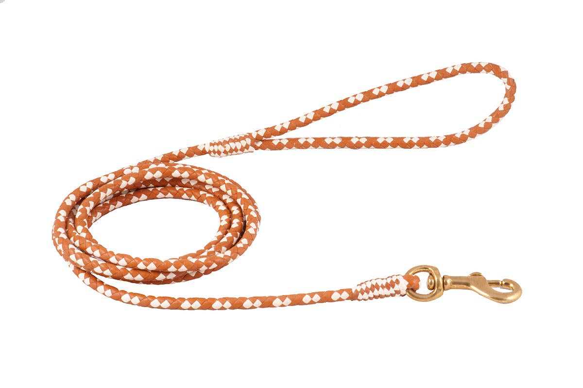 Alvalley - Wholesale Pet Leash - Dog - Braided Leather Snap Leads117