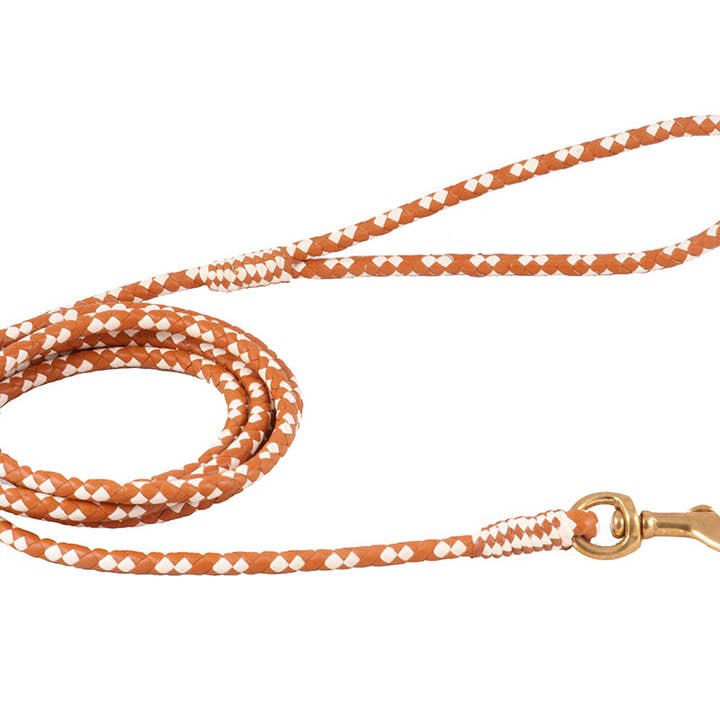 Alvalley - Wholesale Pet Leash - Dog - Braided Leather Snap Leads117