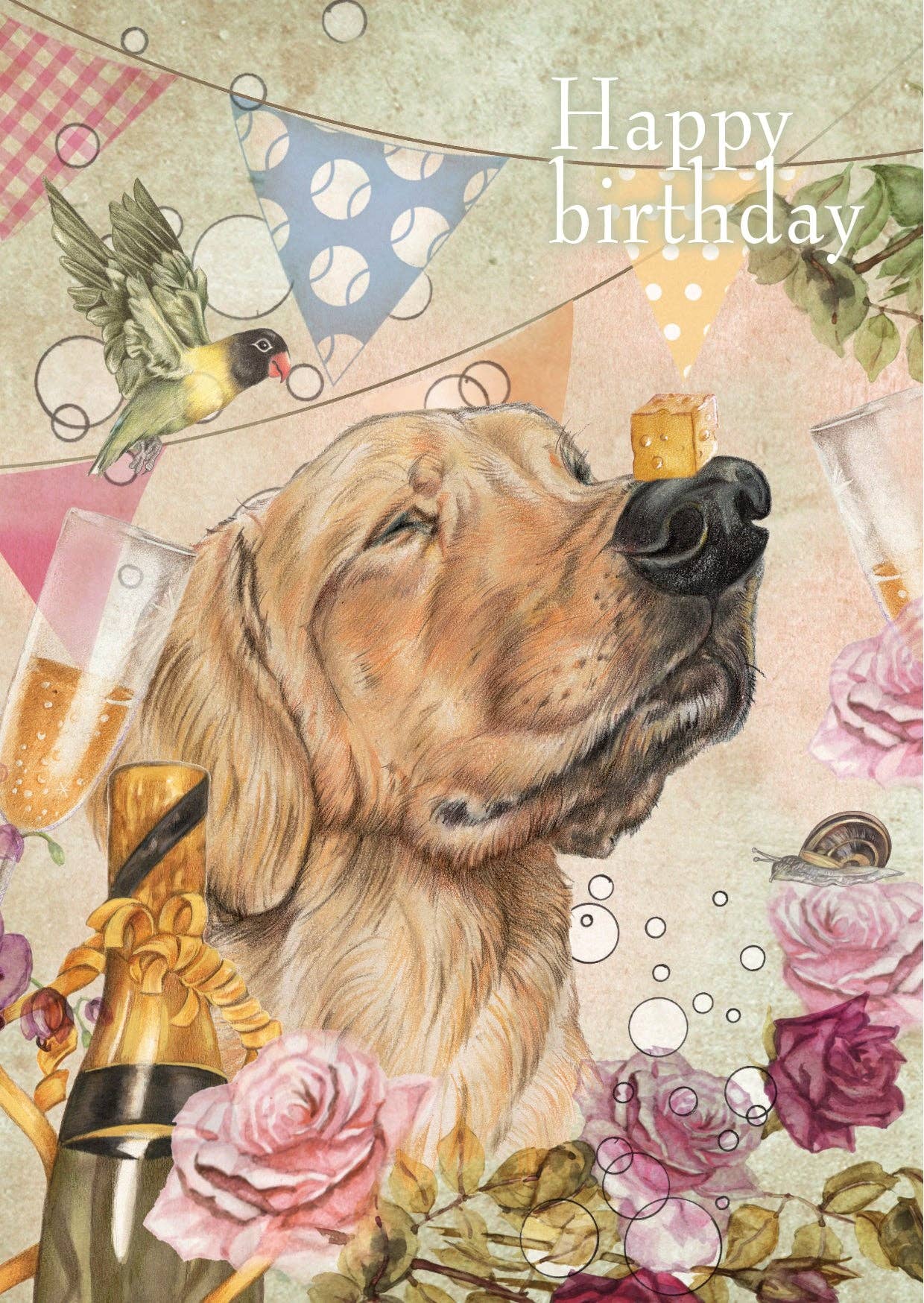 Animal Prints – wholesale Birthday card – Standing pop-up card theme - Happy Birthday - Dog0