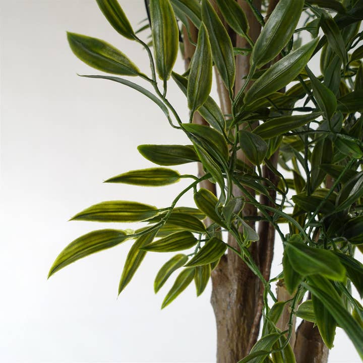 Leaf Design UK LTD - Wholesale Artificial Plant - UV Resistant Ruscus Tree- 2716 leaves