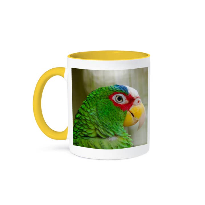 3dRose - Wholesale Coffee Mug - 3dRose, Belize, Belize City, Belize City Zoo. Captive White Fronted parrot., Mug