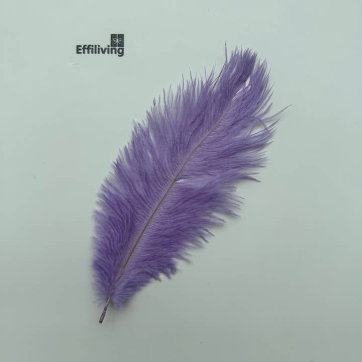 Effiliving - Wholesale Feathers - Natural Shed Ostrich Feathers, 50pcs Pack,Can Be Customized2