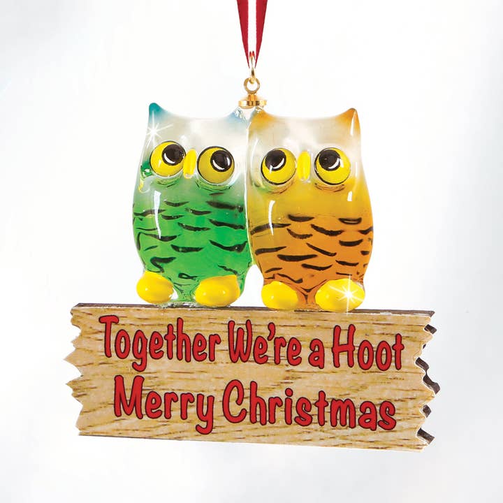 W3 312-H: We're a Hoot Ornament for wholesale by Glass Baron