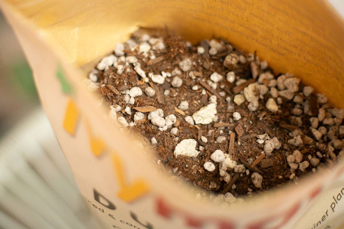 Ivy May Co - Wholesale Planting/Potting Soil - Bulk Soil- Premium Cactus & Succulent Potting Mix2