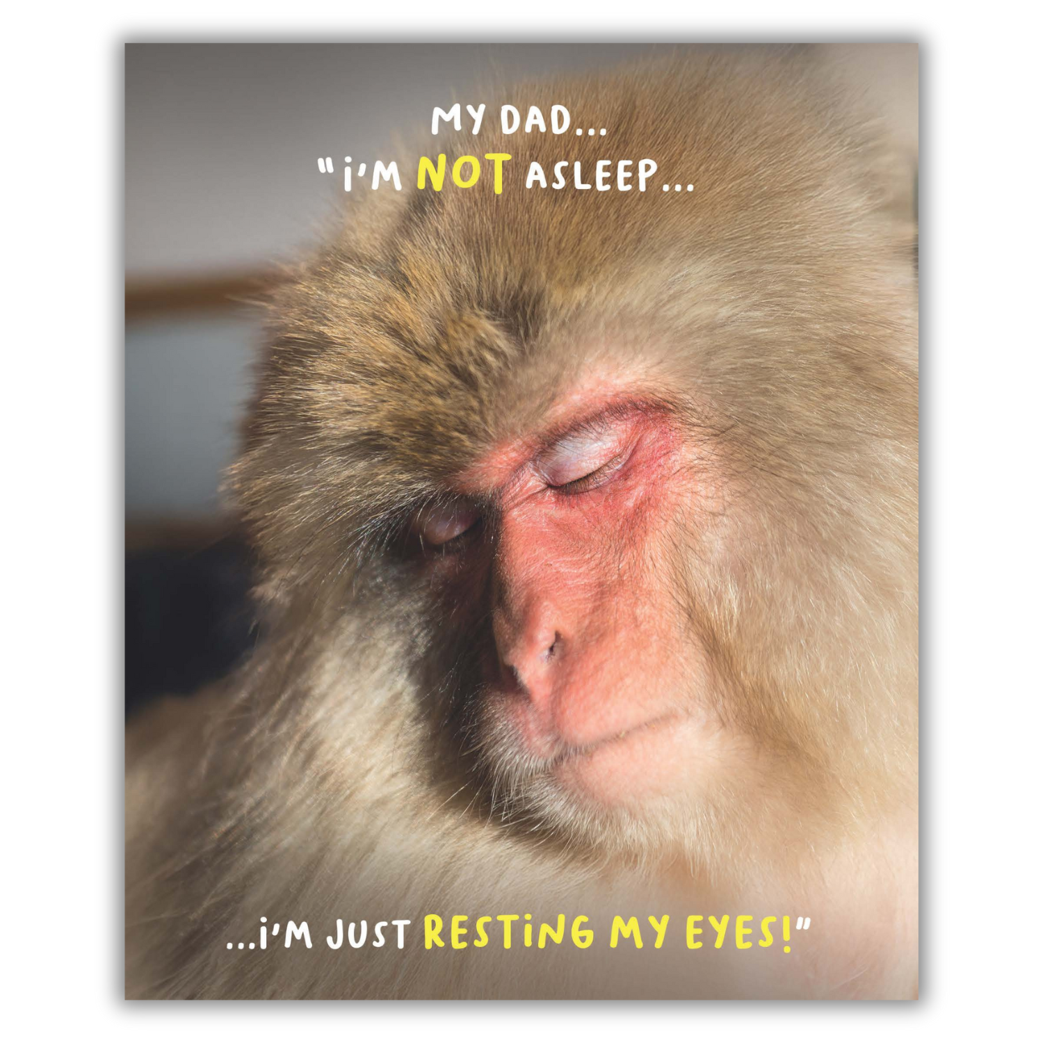 EMOTIONAL RESCUE – wholesale Everyday greeting card – Virtual Safari Dad Birthday Card Image of Cute Monkey0