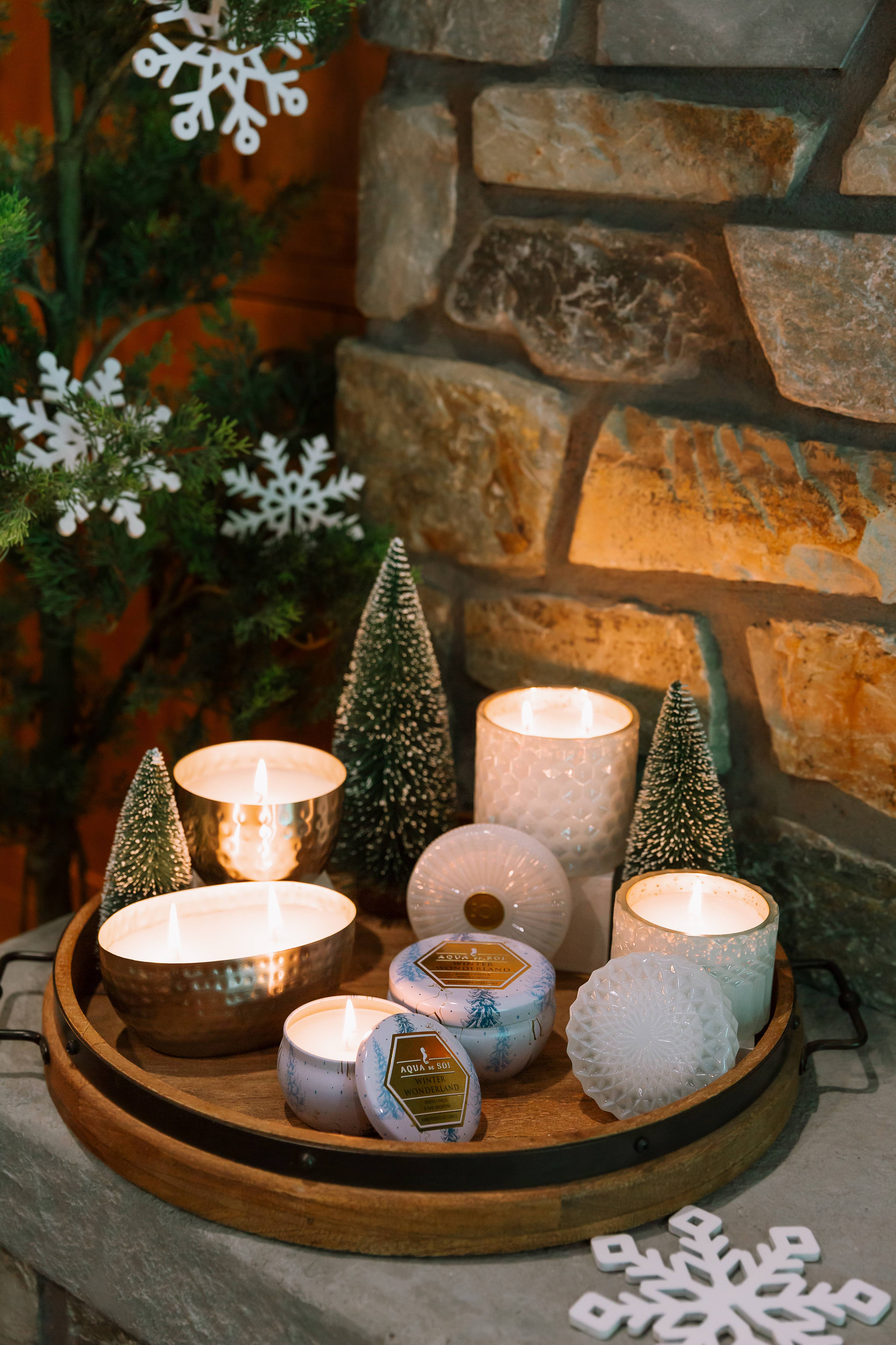 The SOi Company - Wholesale Jar/Filled Candle - Winter Wonderland 15oz Shimmer Candle 2 wick (White)1