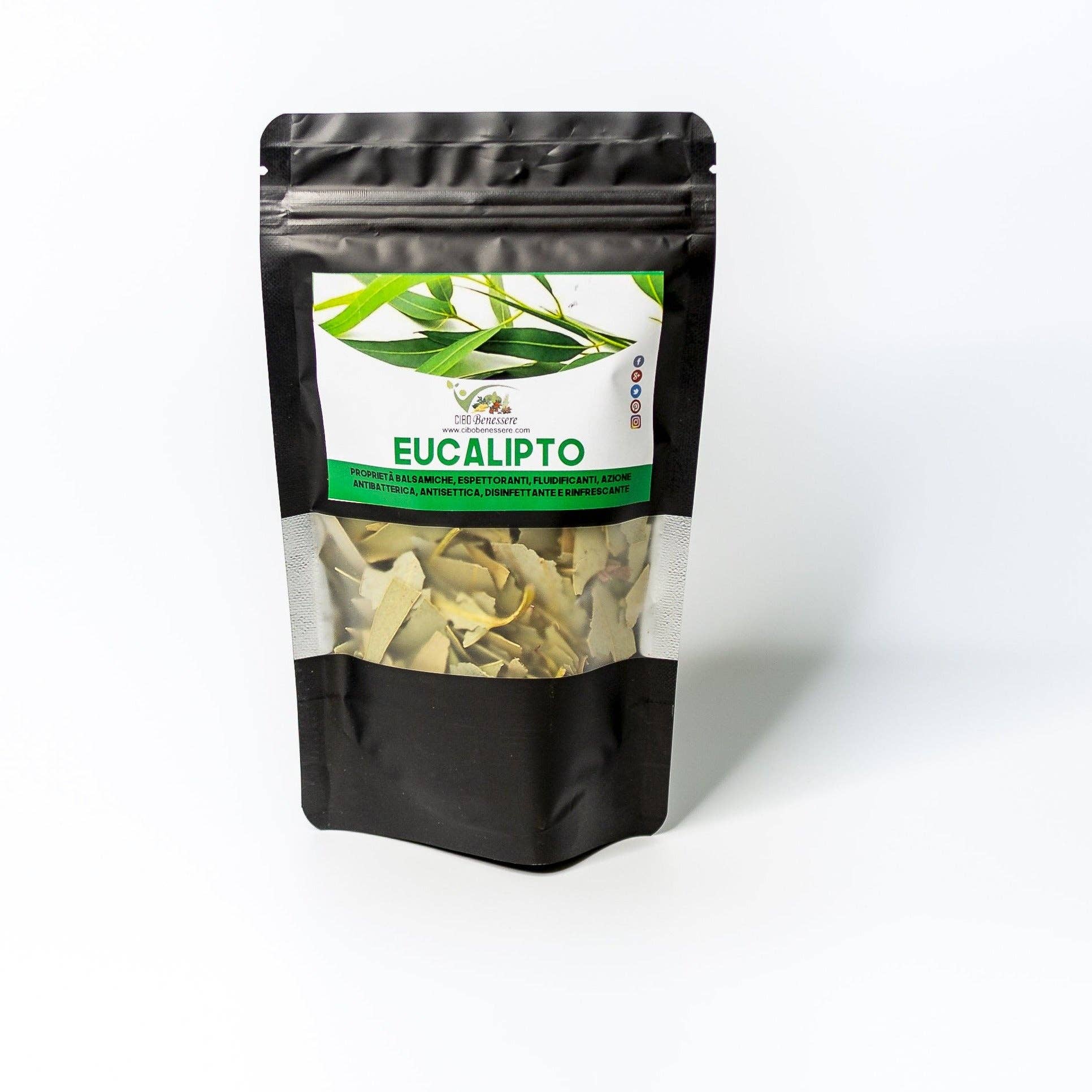 Cibobenessere - Wholesale Succulent - Eucalyptus Leaves1