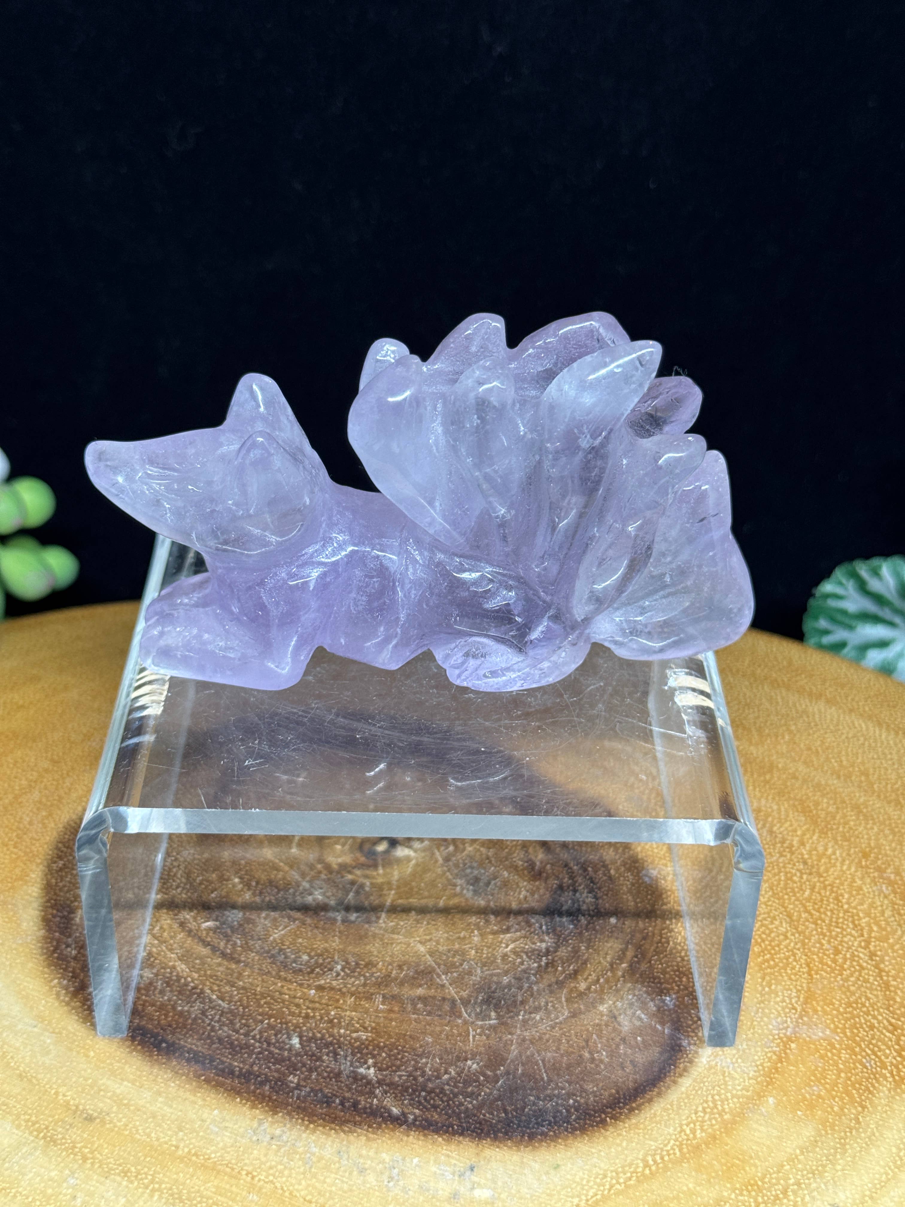 The 7 Directions - Wholesale Spirituele steen/kristal - Amethist negenstaartige vos snijwerk met infokaart G550