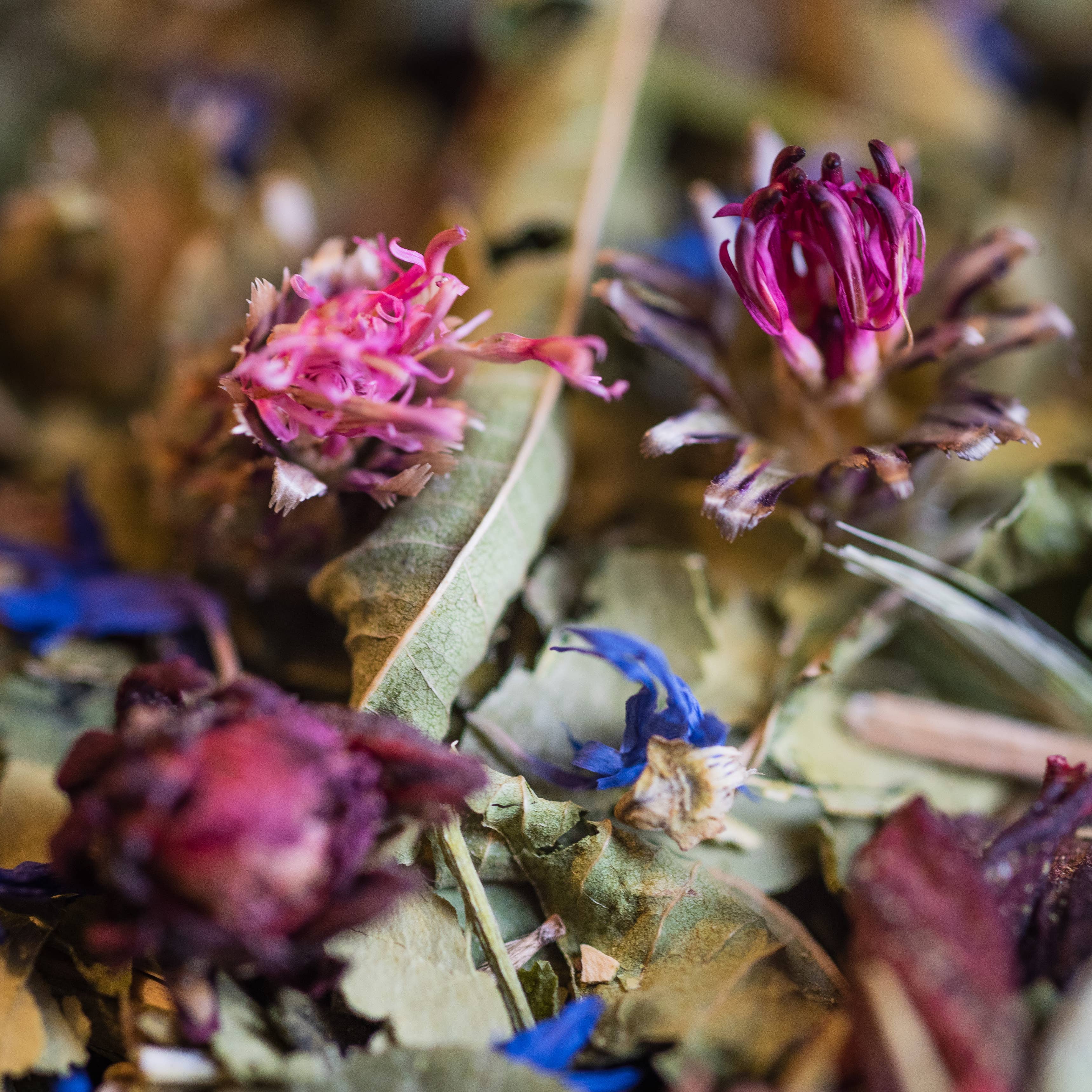 LE COMPTOIR D'HERBORISTERIE – Engroshandel Sundheds-/detox-te – ØKOLOGISK BONNE SOIRÉE URTETE 50G1