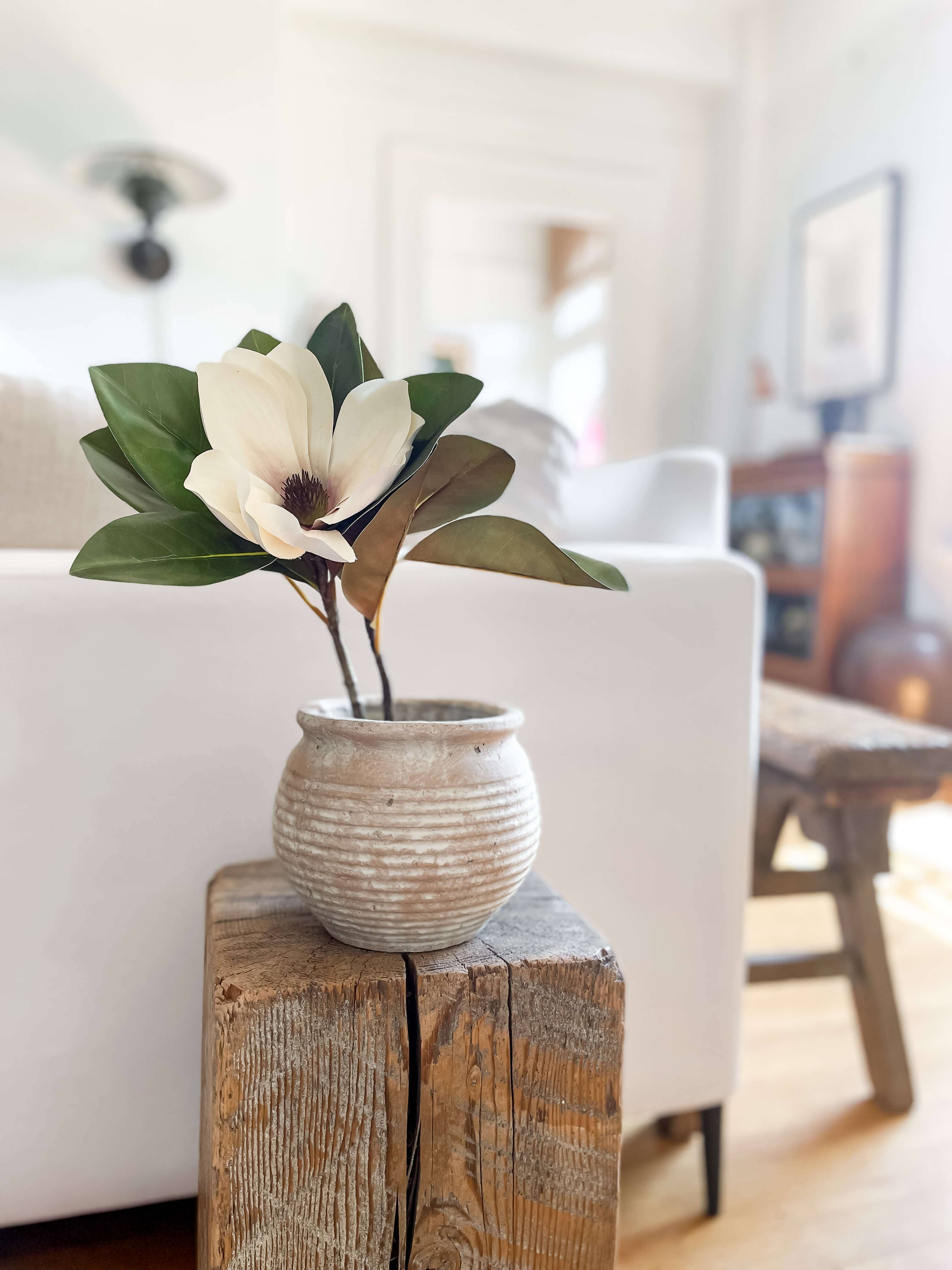 Hycroft Home Decor - Wholesale Plant Pot - Lazio Rustic Vintage-Style Terracotta Pot with Aged Look1