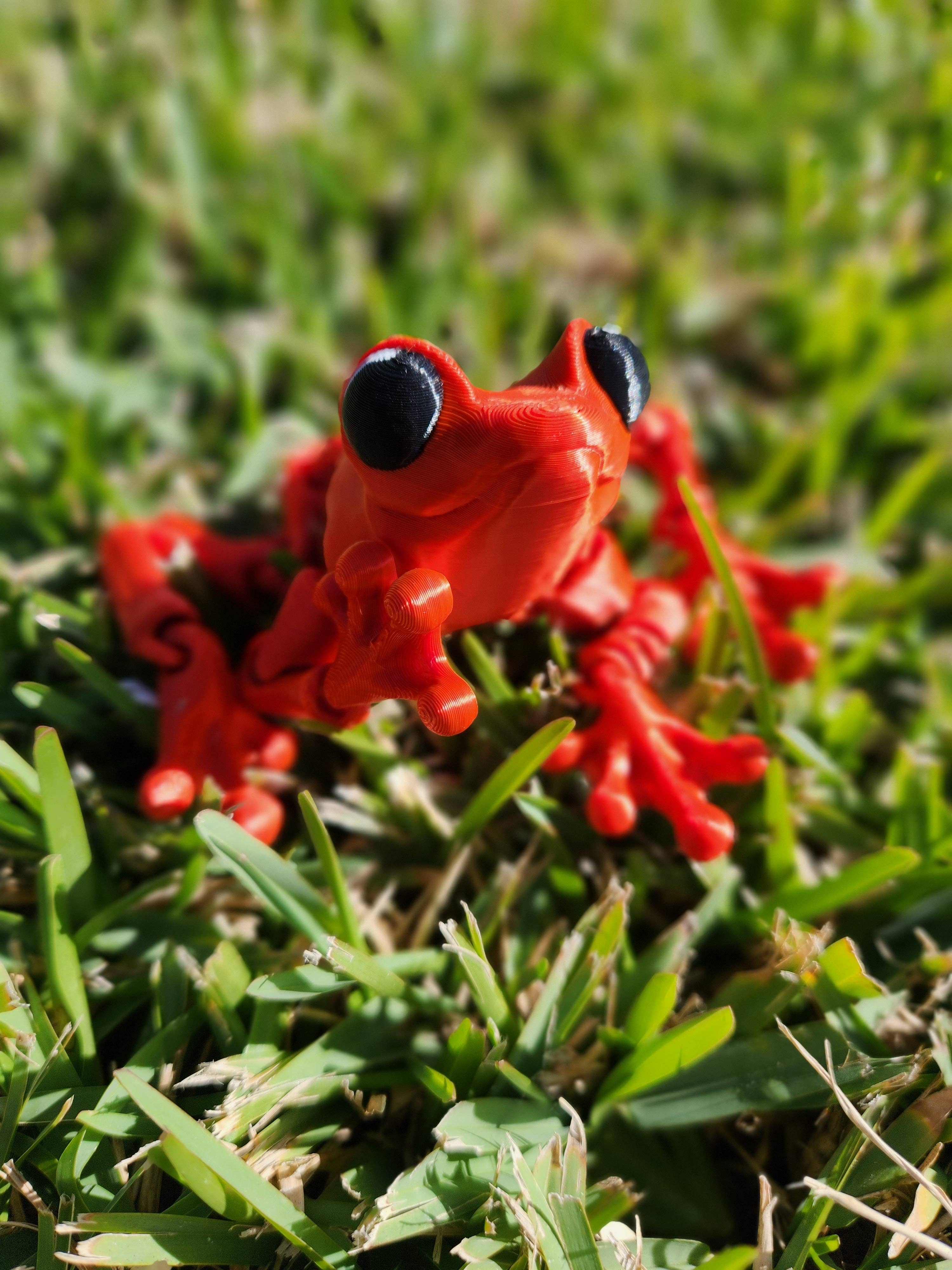 Altered Matter - Wholesale Fidget Toy - Kids - Froggy Friend - 3d Printed Fidget3