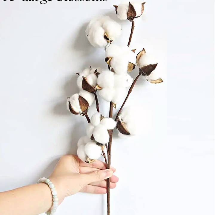 Angel Isabella - Wholesale Artificial Flowers - 21"High Quality Cotton Stem-10 Large Cotton blossoms