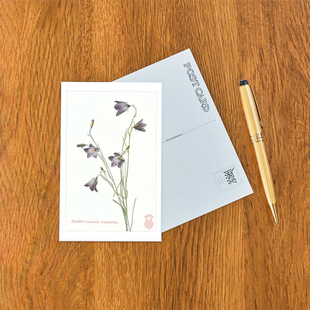 Found Image Press - Wholesale Postcard - Postcard FC-24 Harebell1