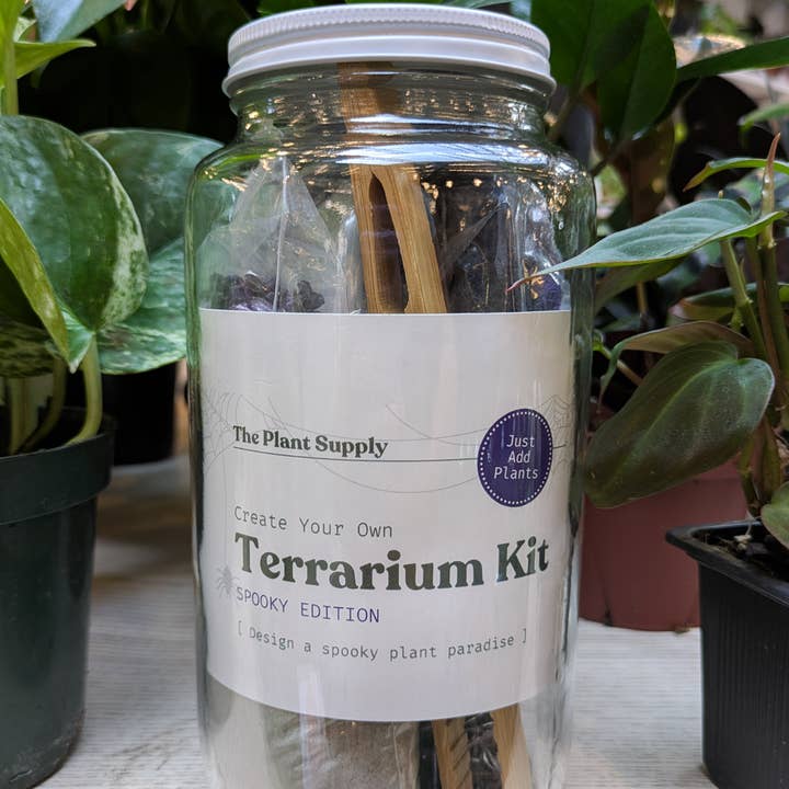 The Plant Supply - Wholesale DIY Craft Kit - Halloween DIY Terrarium | Fall Plant Craft Kit3