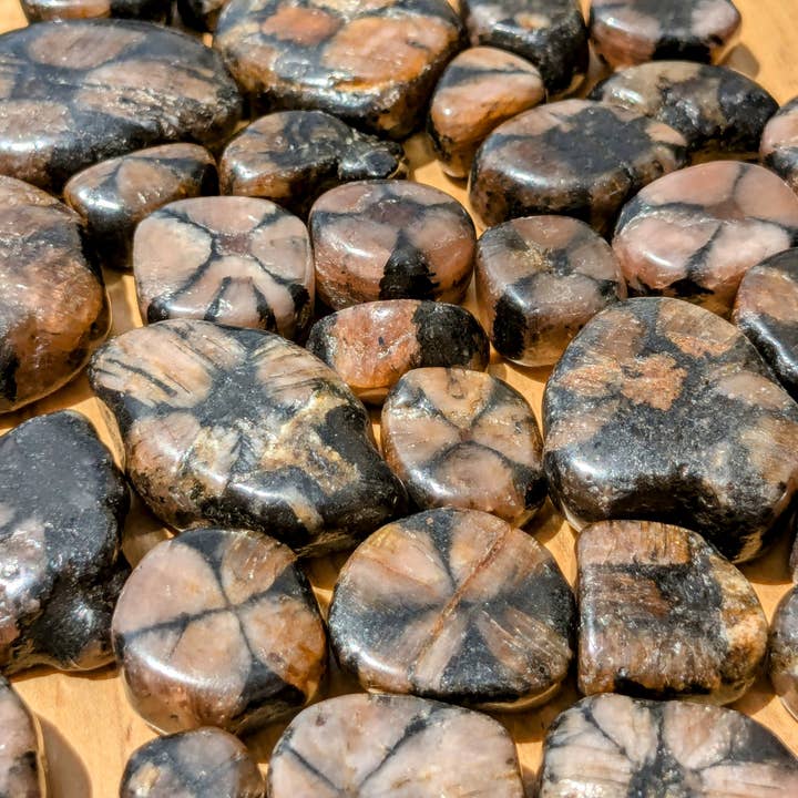 Jensen Rocks - Wholesale Spiritual Stone/Crystal - Chiastolite Tumbled Stones - 1-6 LB Lots