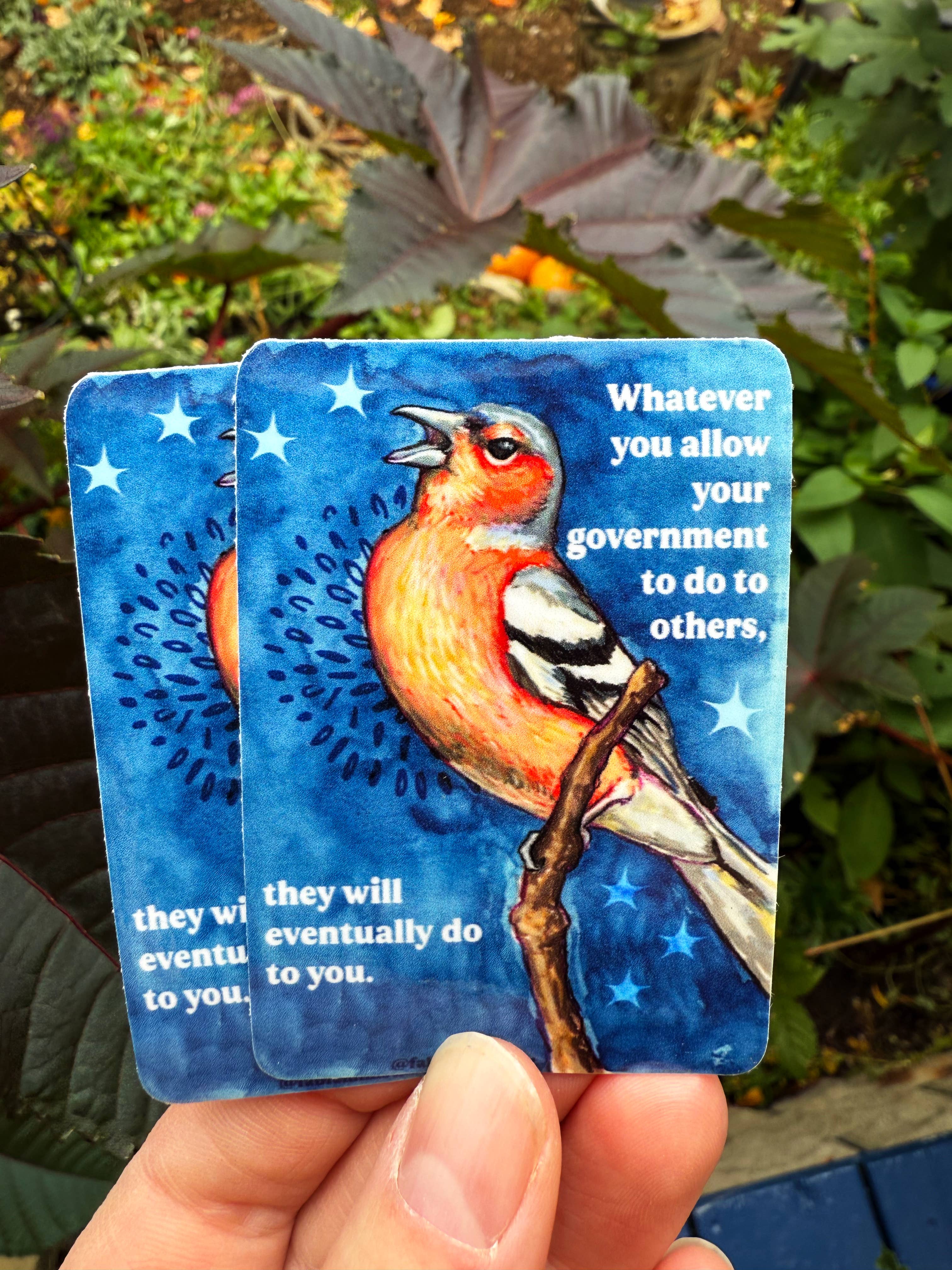 Fabulously Feminist - Wholesale Sticker - Whatever you allow your government to do to others: sticker10