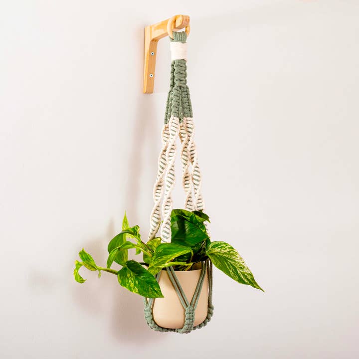 Macrame Plant Hanger - Dual Colour for wholesale by Cotton and Leaf