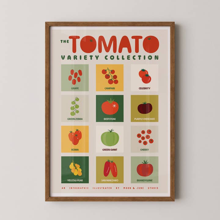 Tomato Variety Collection Art Print for wholesale by Moon&June Studio