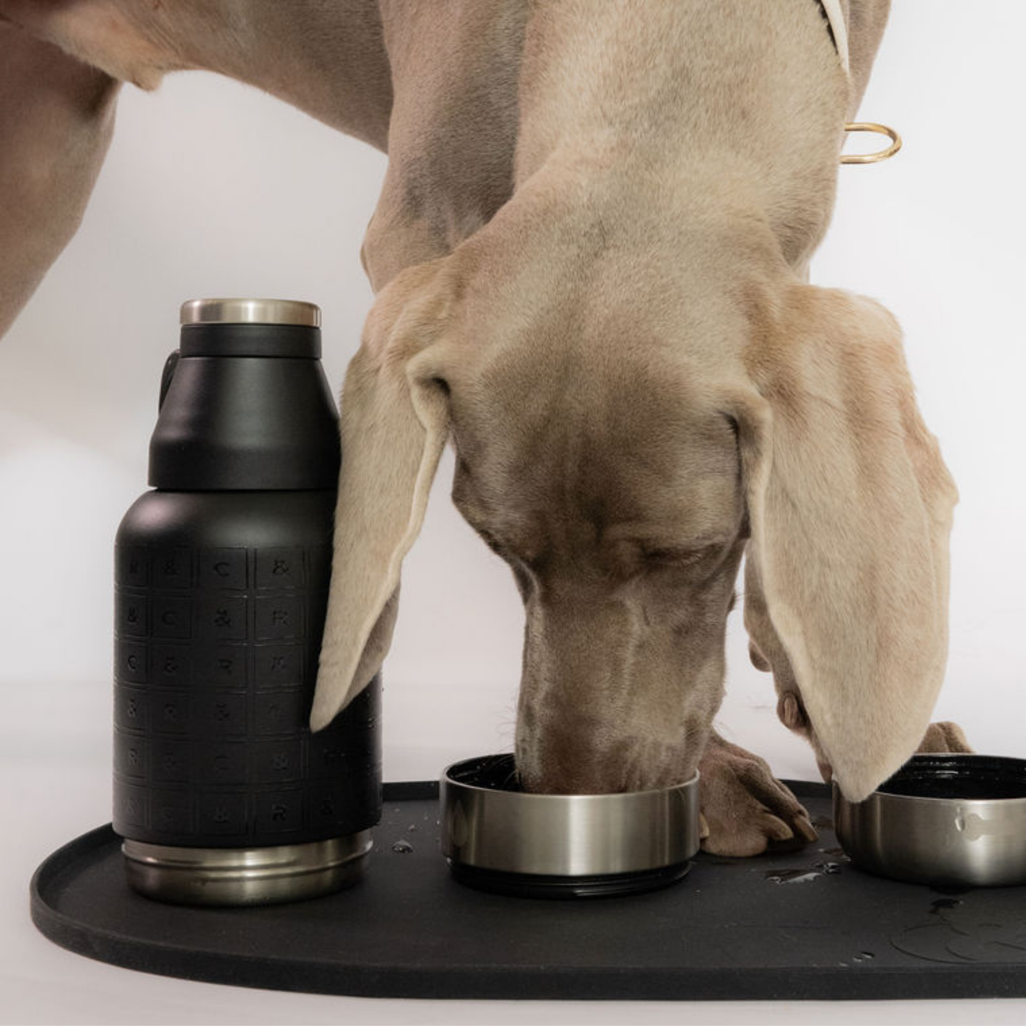 Belmore Stainless Steel 3 in 1 Bottle Set for wholesale on Faire1