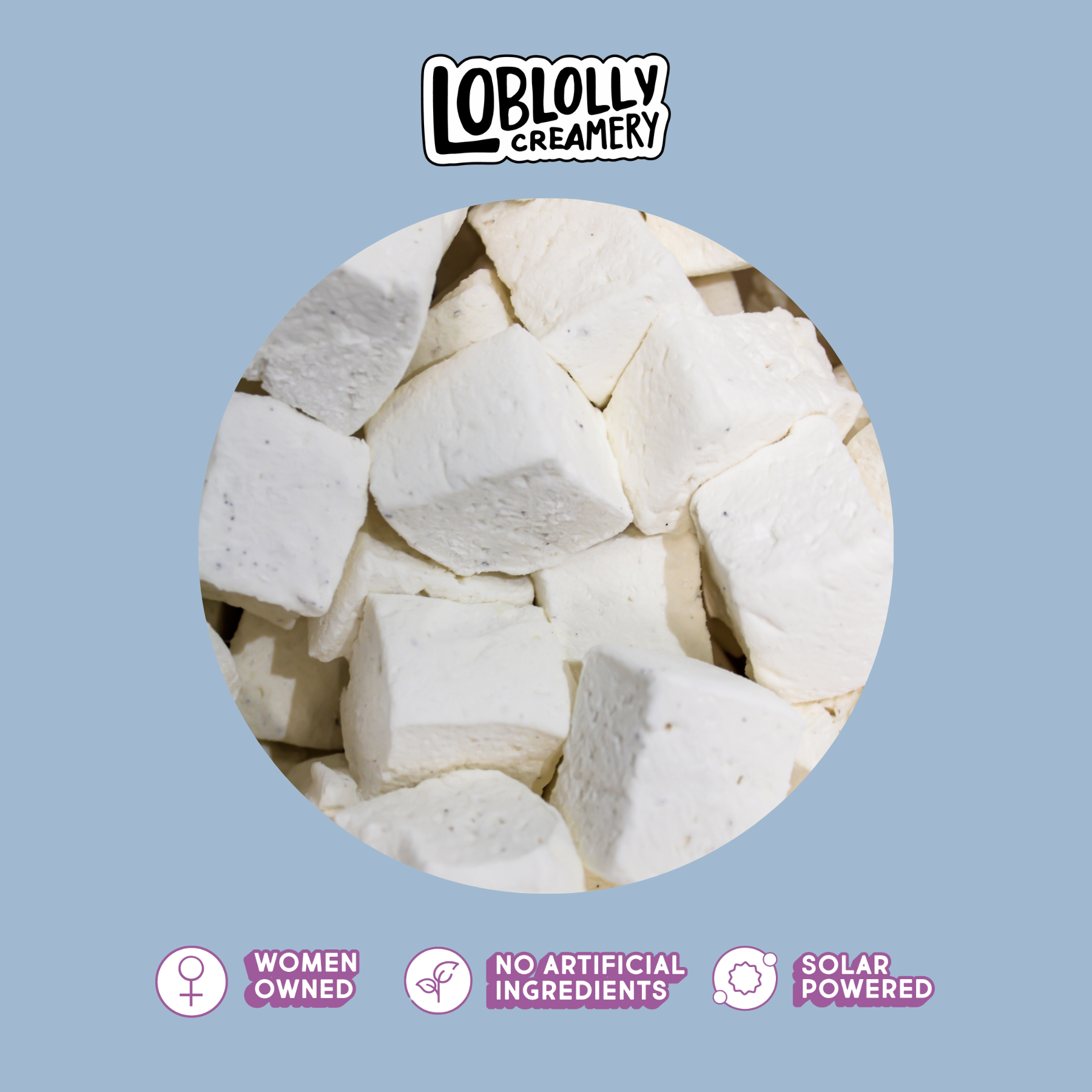 Loblolly Creamery - Wholesale Marshmallow - 40oz Bulk Marshmallows: Vanilla2