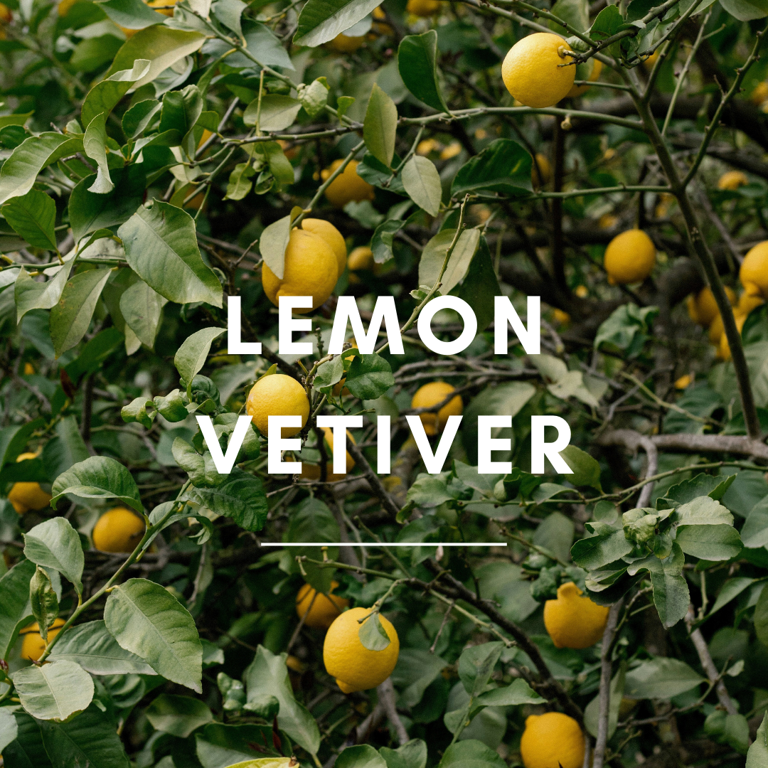 SunLeaf Naturals - Wholesale Reed Diffuser - 3 oz Reed Diffuser - Lemon Vetiver1