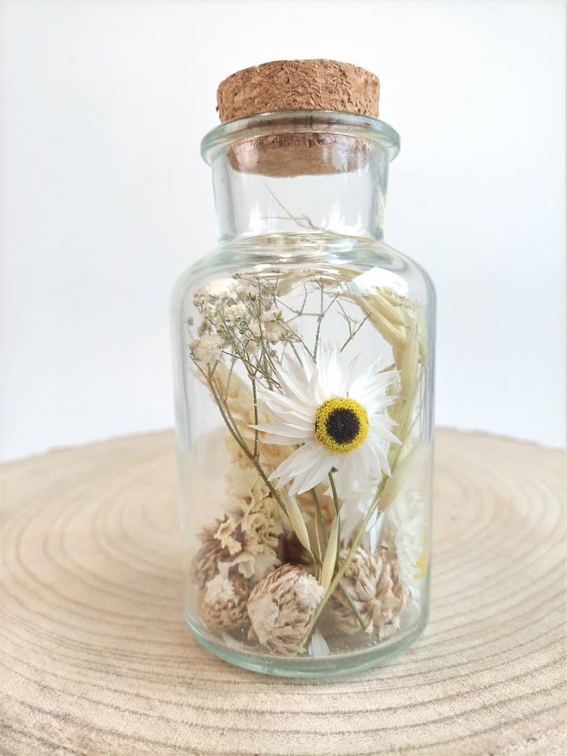 DRYdecorations – wholesale Torkade/pressade blommor – Torkade blommor i flaska från PARELWIT-kollektionen6