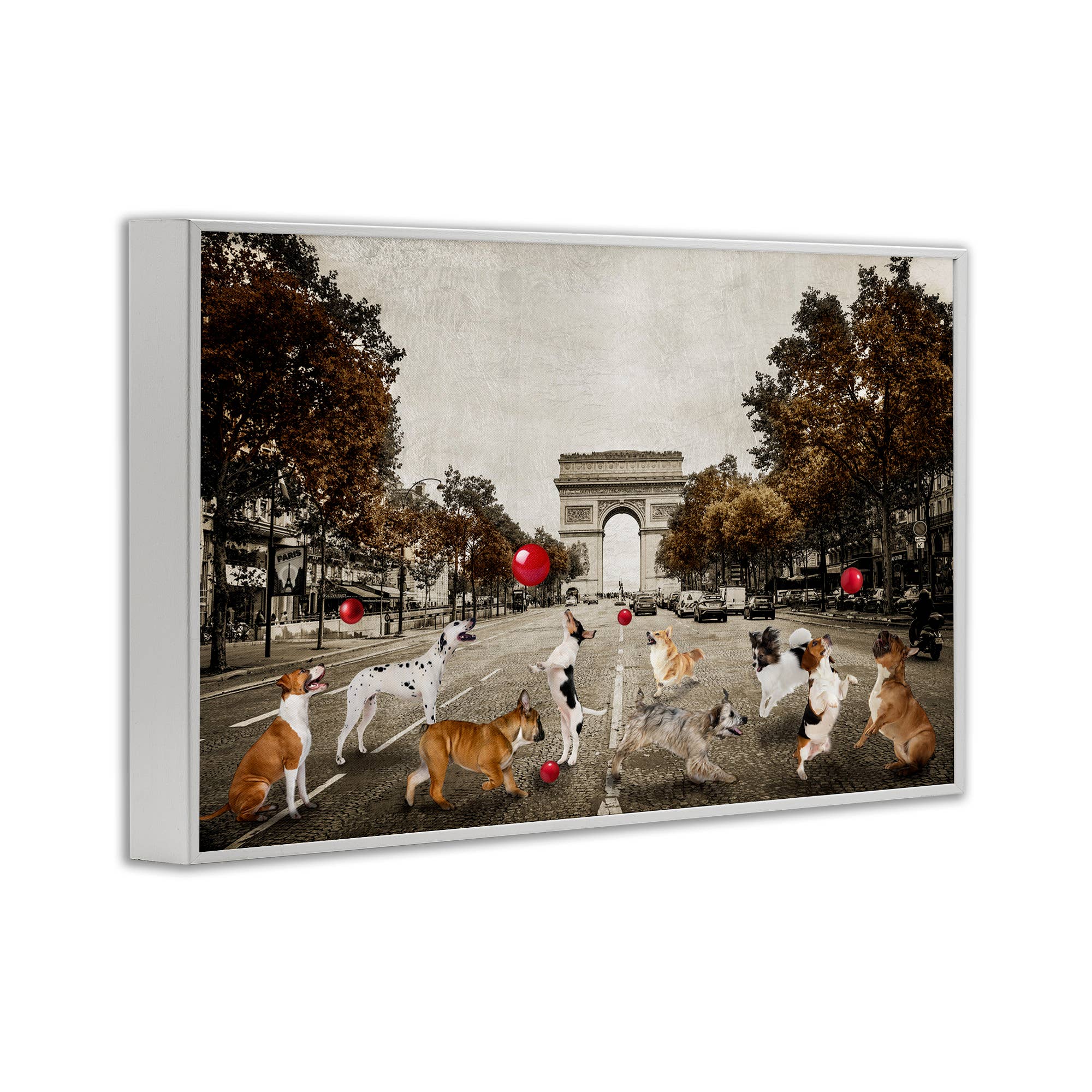 Stupell Industries - Wholesale Wall Sign - Dogs Playing Among Architecture - Framed Wall Art15
