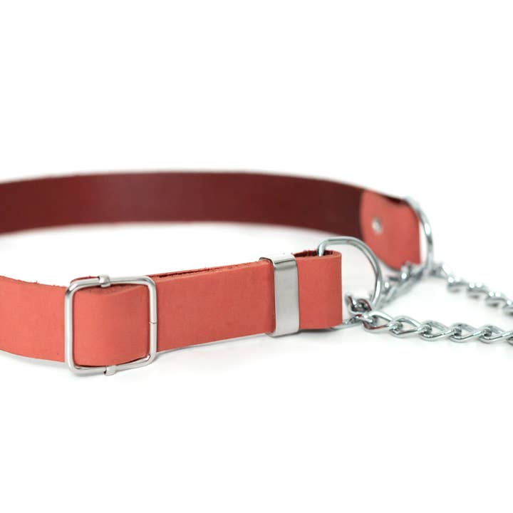 Euro-Dog Collars and Leads - Wholesale Pet Collar - Dog - Leather Dog Collar Martingale Soft Modern Style