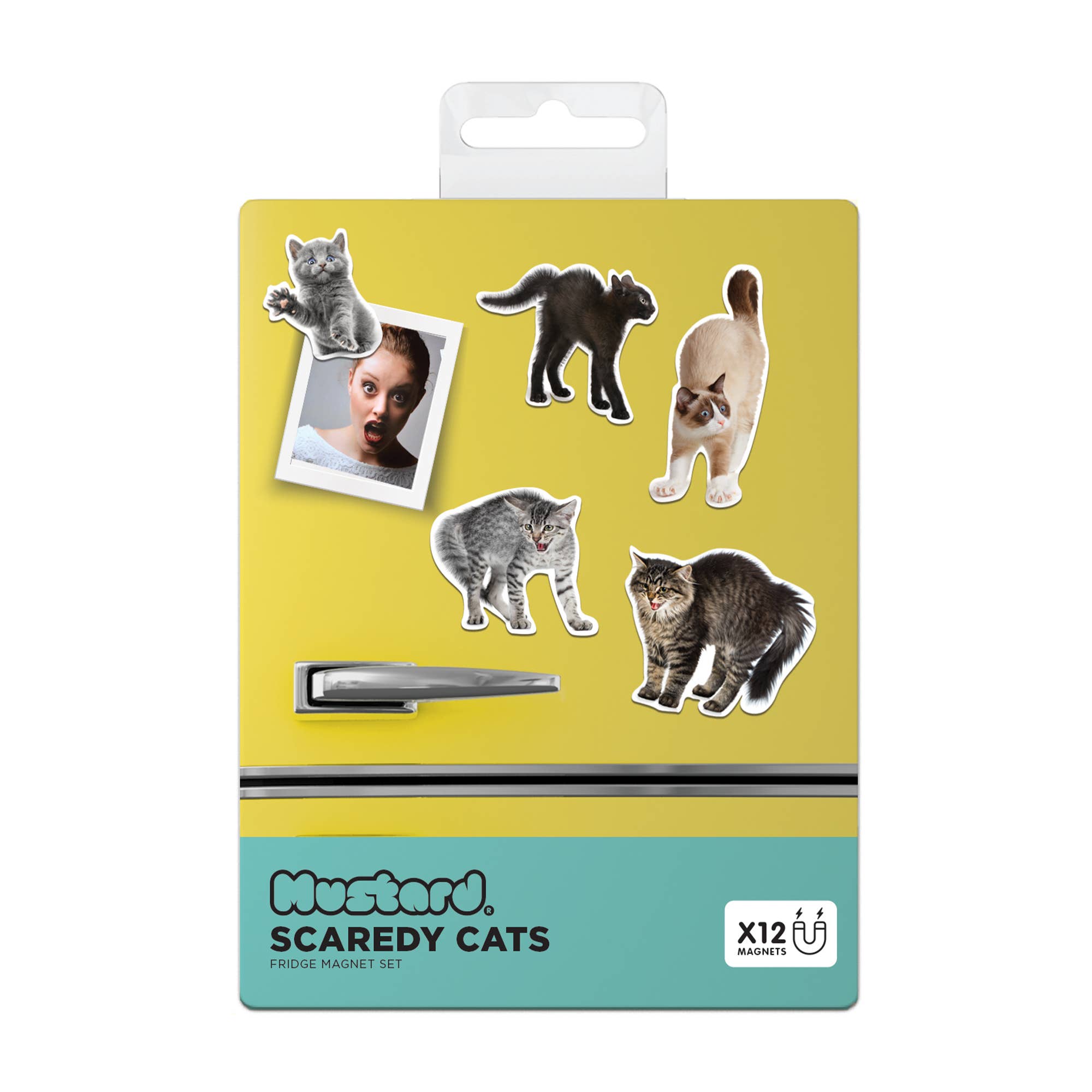 Mustard – wholesale Magnet – Scaredy Cat Magnets2
