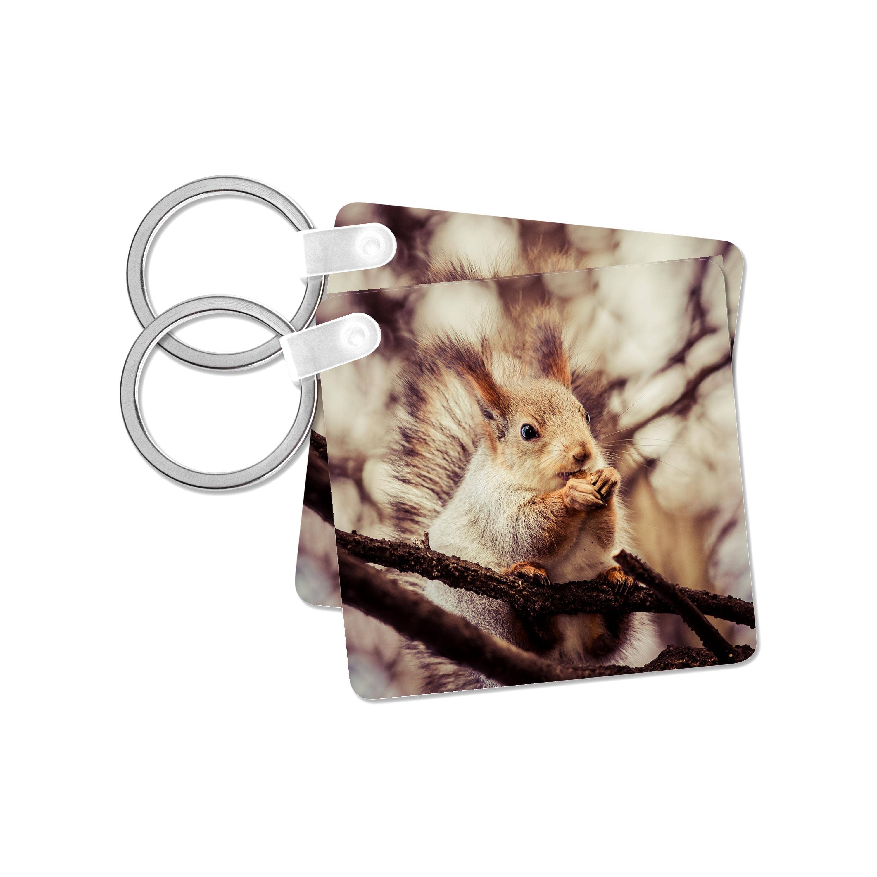 3dRose – wholesale Keychain – Unisex – 3dRose, Squirrel animal sits on a tree and eats a nut. Stylized photo, Key Chain7