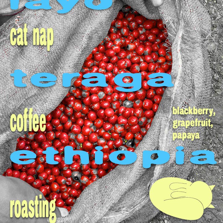 Cat Nap Coffee Roasting - Wholesale Coffee Beans - Layo Teraga Ethiopia Guji Natural