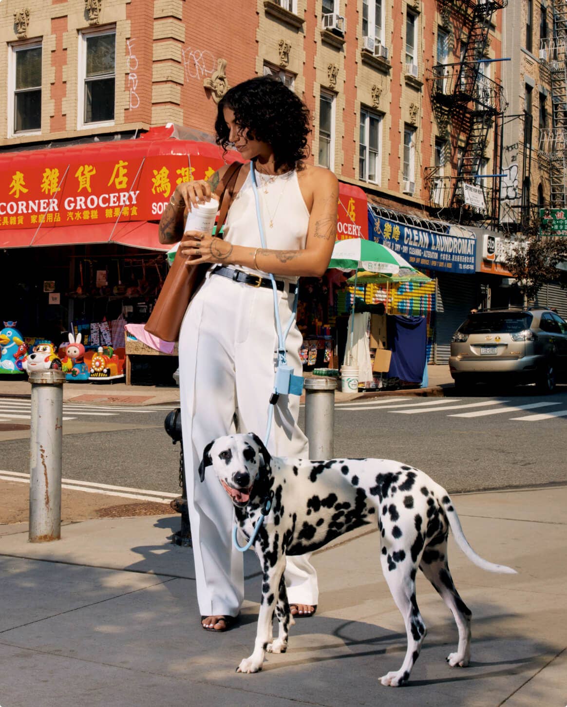 Fable Pets – wholesale Hundkoppel - Hund – Magic Link Handsfree hundkoppel med hålkrage29