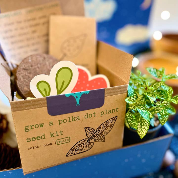 UpRoot Design Studio - Wholesale Food Gift Basket - "Festive Garden" Gift Box (Winter Dreaming)18