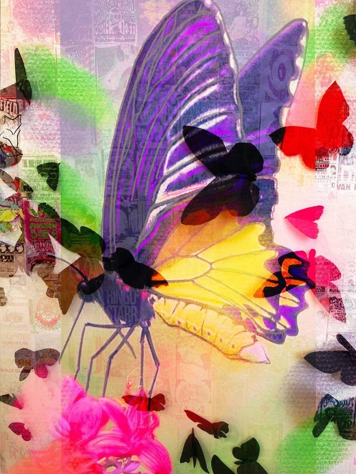 Carlos Amorales- Evolution for wholesale by Mila+Mate