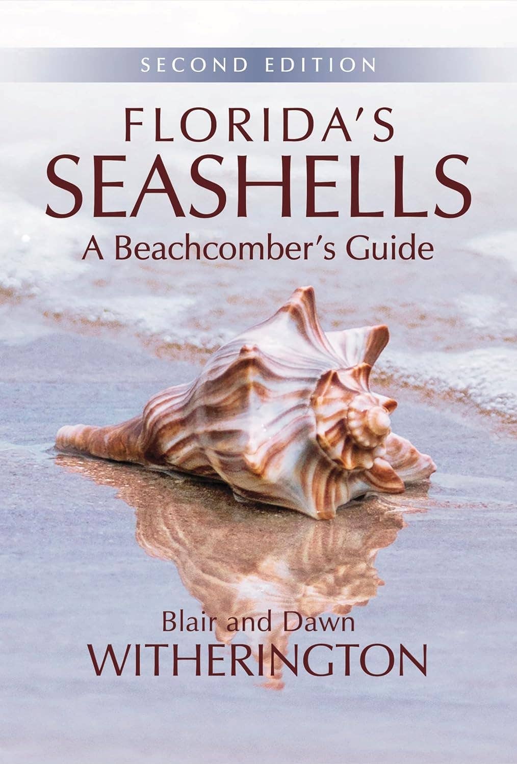 REMOVED BRAND - Wholesale Nature & Outdoors - Florida's Seashells: A Beachcombers Guide0