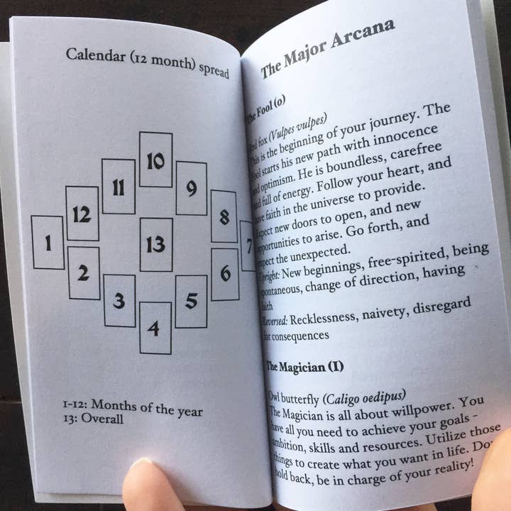 The Creeping Moon – Großhandel Tarot-Karten – Anima Mundi Tarot - Kartenspiel mit 78 Karten und Reiseführer