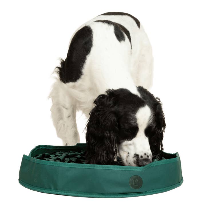 Stimulating Feeder Mat for wholesale by Reggie Pet