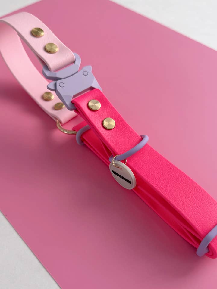 WATERPROOF DOG COLLAR - SWEET PAWS - PAWFECTION for wholesale by Hund & Shore