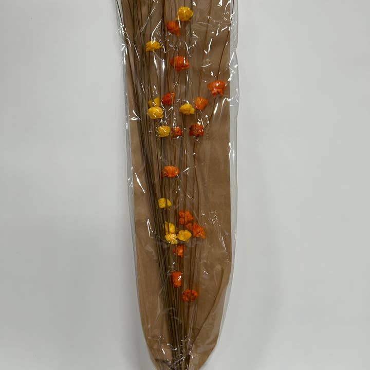 GS Foliage - Wholesale Artificial Flowers - Ting Ting with Sola Flower Bunch3