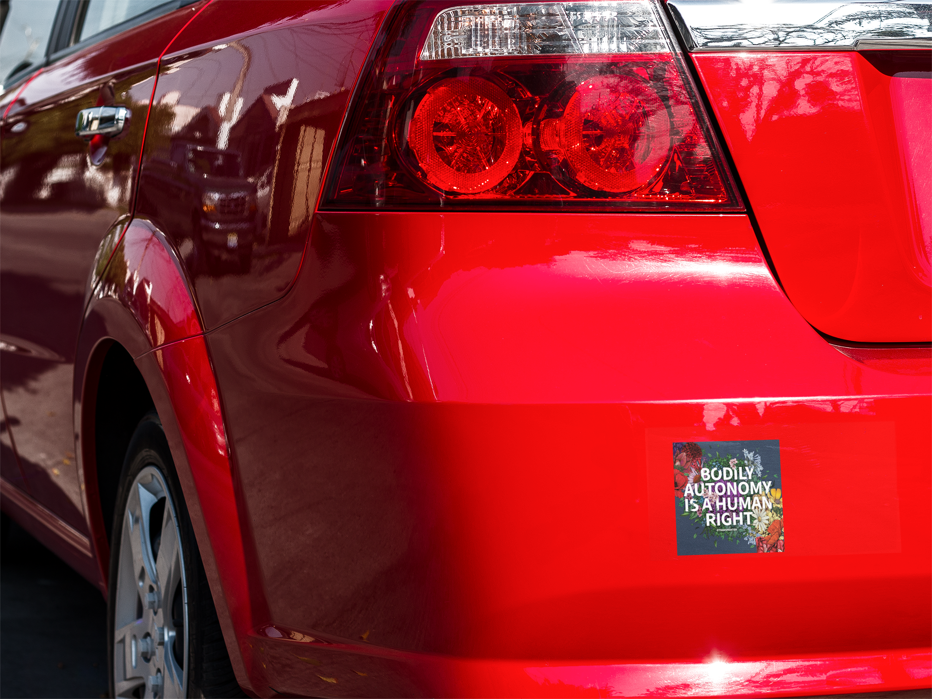 Transpainter - Wholesale Sticker - Bodily Autonomy is a Human Right Sticker | Feminist Stickers5