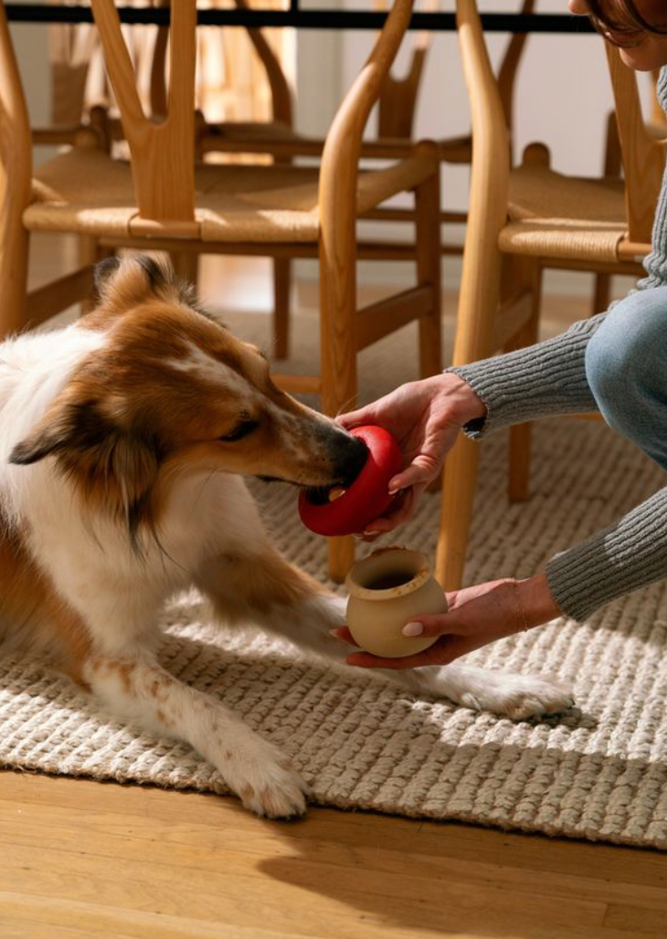 ZippyPaws - Wholesale Pet Toy - Dog - SmartyPaws Tumbler - Mushroom - Interactive dog toy11