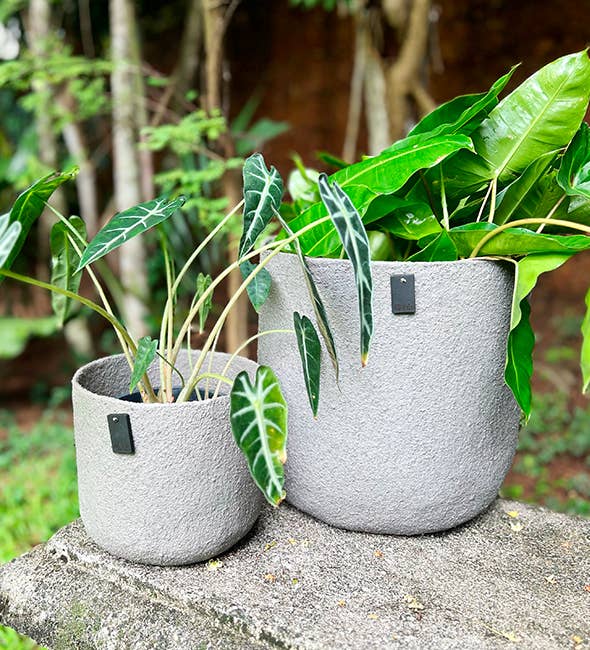 Lübech Living – Vaso de plantas por atacado – Vaso para exterior All Nature, taupe, 17 cm2
