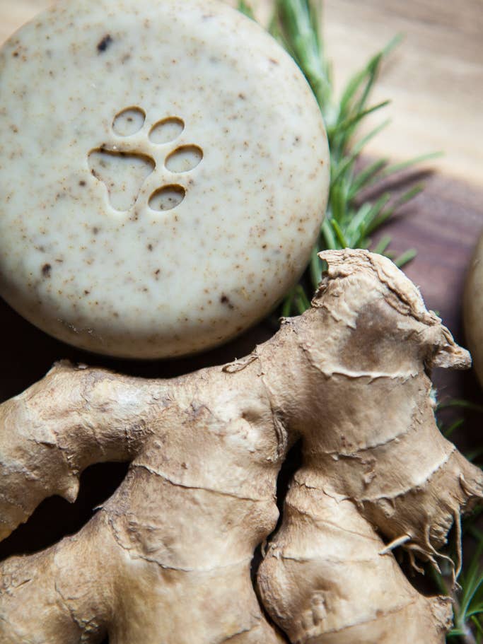 Barre de shampoing pour animaux de compagnie Wild Earth and Mugwort au vinaigre de cidre de pomme pour la vente par Chloemason Soap Company