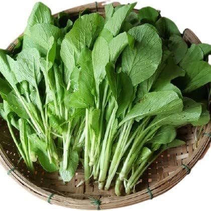 The Rike - Wholesale Plant Seeds - Choy Sum Seeds Brassica Integrifolia 6 pack x 3000 Seeds 4