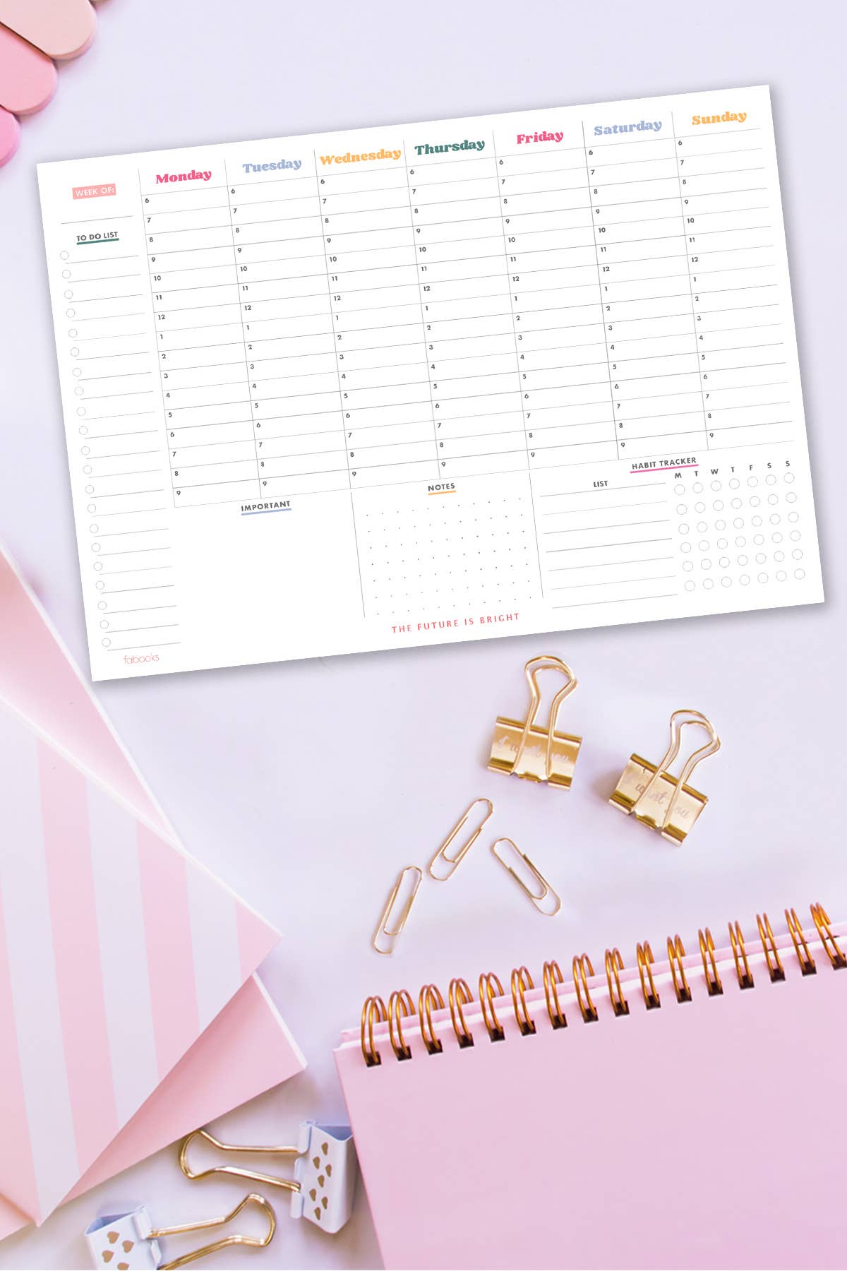 fabooks - Wholesale Planner - The Future is Bright Weekly Planner,  Habit Tracker - A41