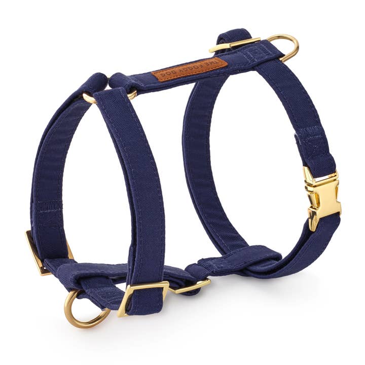 Imbracatura a cinghia Ocean Dog per la vendita all'ingrosso da parte di The Foggy Dog