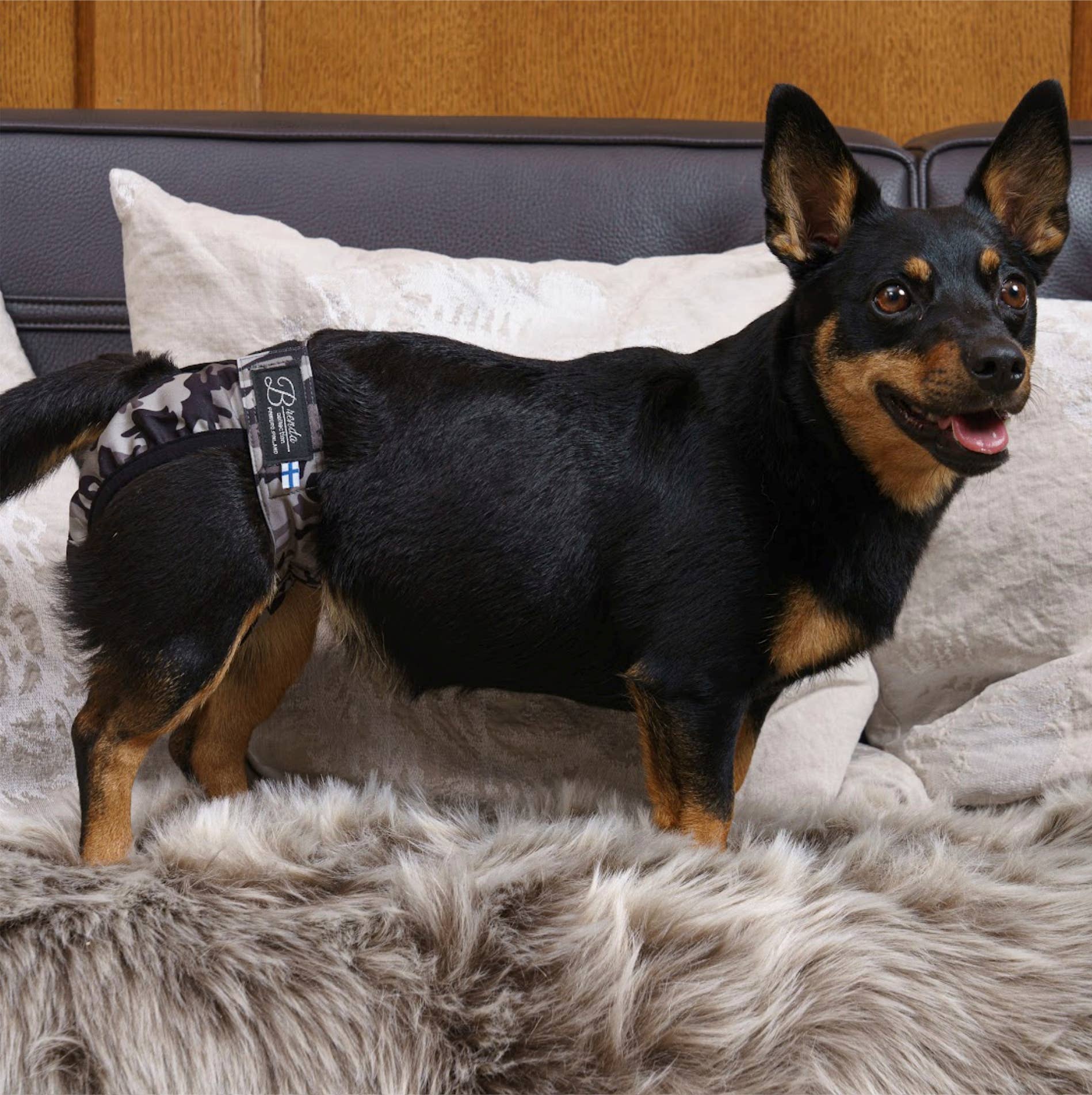 FINNERO - Wholesale Pet Diaper - Dog - FINNERO BRENDA Dog Hygiene pants, 3 colors, Washable Diaper10