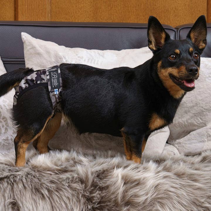 FINNERO - Wholesale Pet Diaper - Dog - FINNERO BRENDA Dog Hygiene pants, 3 colors, Washable Diaper14